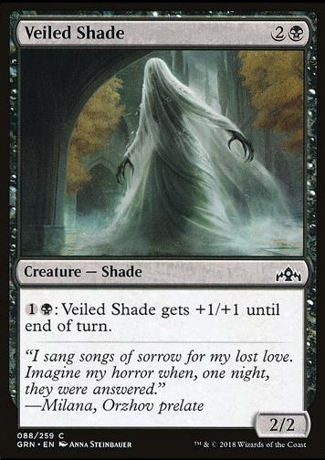 Veiled Shade (Verschleierter Schatten)